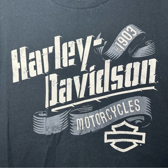 Men’s Harley Davidson T-shirt. - Picture 2 of 10